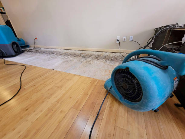 Professional Basement Flood Cleanup technician working in Cañon City, CO